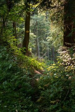 Wanderung 19.10.2017 (Bild: Anina Rütsche)