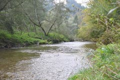 Wanderung 05.10.2017 (Bild: Gianni Amstutz)
