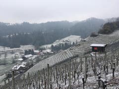 Wanderung 15.02.2018 (Bild: Laura Widmer)