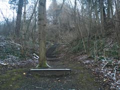 Wanderung 15.02.2018 (Bild: Laura Widmer)
