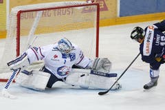 Der Zuercher Goalie Niklas Schlegel verteidigt gegen den Zuger Stuermer Dominic Lammer. (Bild: Keystone / Alexandra Wey)