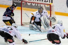 Der Zuger Stürmer Dominic Lammer, 2. von links, im Spiel gegen den Fribourger Verteidiger Sebastian Schilt, links, und den Fribourg Goalie Reto Lory, Mitte, und den Fribourger Stürmer Benjamin Neukom, rechts. (Bild: Keystone/ Alexandra Wey)