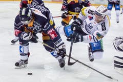 Duell zwischen Zugs Josh Holden (links) und Ambris Jesse Zgraggen. (Bild: Alexandra Wey / Keystone)