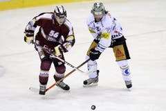 Josh Holden vom EV Zug kämpft gegen Servettes Frederic Iglesias um den Puck. (Bild: Keystone)