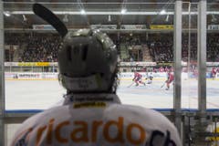 Zugs Nico Dünner verfolgt das Spiel von der Strafbank aus. (Bild: Keystone)
