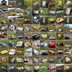 So viel Güsel wird von Autofahrern am Strassenrand der Strecke Malters Schachen achtlos weggeworfen. (Bild: Paul von Allmen)