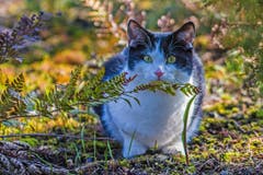 Im botanischen Garten (Bild: Franziska Hörler)