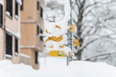 Wetterbilder, Schnee in Speicher AR. (Bild: Hanspeter Schiess)