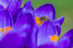 Im botanischen Garten (Bild: Franziska Hörler)