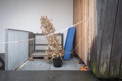 Bild: Benjamin Manser