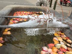 Eiszapfenbrunnen mit Rosenblättern. (Bild: Yolanda Pinzin)