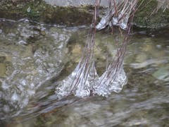Eiszapfen im Bach. (Bild: Claudine Germann)