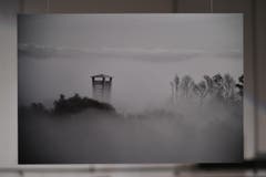 November: Von Schocherswil aus hat Patricia Spirig besten Blick auf den Gewerbeturm, auch wenn der im Nebel ist. Und wer ganz genau hinschaut, erkennt auch noch die Spitze des Kirchturms. (Bild: manuel nagel)