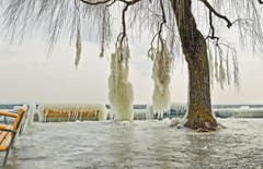 Das Motive-Festival am Bodensee, hier in Romanshorn (Bild: Walter Schmidt)