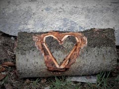 Was für ein herrlicher Liebesbeweis, das muss die wahre Liebe sein ! Aufgenommen im Wagenmoos, hier ist doch ab und zu mal etwas los. (Bild: Margrith Imhof-Röthlin)