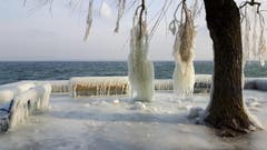 Eisige Parkbank in Romanshorn. (Bild: Wendolin Stieger)