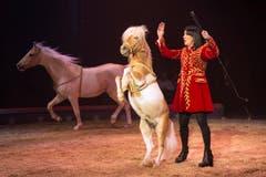 SCHWEIZ CIRCUS KNIE "FORMITABLE" (Bild: Keystone)