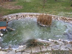 Teich bei der Alterssiedlung Sattelbogen in Bischofszell (Bild: Thomas F. Müller)