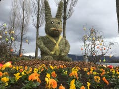 Kreative saisonale Bepflanzung am Carl-Spitteler-Quai in Luzern: Der von der Stadtgärtnerei gestaltete Osterhase. (Bild: pd)