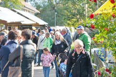 Herbstmarkt Hohentannen (Bild: Donato Caspari)