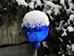 Was für eine schöne Überraschung, die Rosenkugel hat sich über Nacht einen Hut zugelegt ! (Bild: Margrith Imhof-Röthlin)