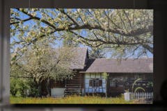 April: Karl Svec gelang dieses Foto vom Bohlenständerhaus in der Blustzeit.. (Bild: manuel nagel)