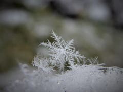 Schneeflocken. (Bild: Ruth Kessler)