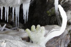 Der Daumen ist etwas zu gross geraten. (Bild: Hans Steiner)
