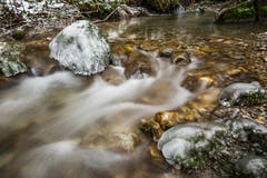 mit Eis überfrorene Steine am Altbach. (Bild: Marc Bollhalder)