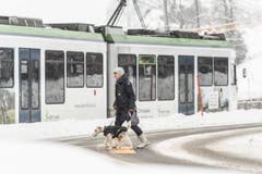 Wetterbilder, Schnee in Speicher AR. (Bild: Hanspeter Schiess)