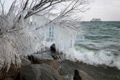 Eiszeit am Bodensee. (Bild: Gabriela Hausammann)
