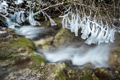 Spezielle Eisskulpturen am Altbach. (Bild: Marc Bollhalder)