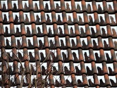 Ausverkaufte "Tribühnen-Plätze" in Meggen ? (Bild: Margrith Imhof-Röthlin)