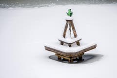 Winter St. Gallen St. Georgen (Bild: Urs Bucher)