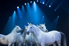 SCHWEIZ CIRCUS KNIE "FORMITABLE" (Bild: Keystone)