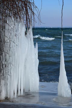 Kunst der Natur in Romanshorn. (Bild: Hansjürg Oesch)