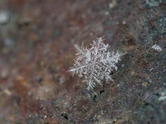 Fire Ice: schneeflocke in der Feuerschale. (Bild: Thomas Rupp)