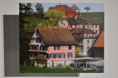 Mai: Rolf Dubs zeigt das Schloss Hagenwil für einmal im Hintergrund. (Bild: manuel nagel)