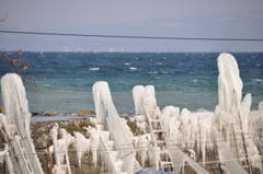 Inseli-Hafen. (Bild: Thomas Müller)