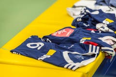 Volley Amriswil ist schweizer Meister (Bild: Andrea Stalder)