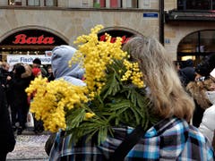 Wotsch äs Reesäli oder äs Mimöösäli, chasch di nid entscheide oder bisch eppä äso bescheide ? Aufgenommen in Basel. (Bild: Margrith Imhof-Röthlin)