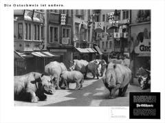 Bild: Archiv
