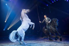 SCHWEIZ CIRCUS KNIE "FORMITABLE" (Bild: Keystone)