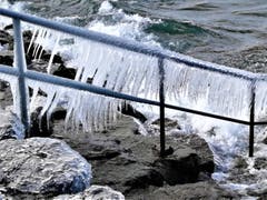 Windiger Eistag am Bodensee. (Bild: Hanspeter Berger)