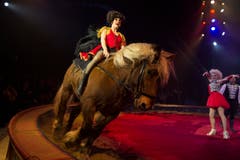 SCHWEIZ CIRCUS KNIE "FORMITABLE" (Bild: Keystone)
