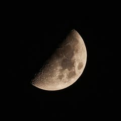 Nicht nur der Vollmond ist interessant (Bild: Barbara Weber)