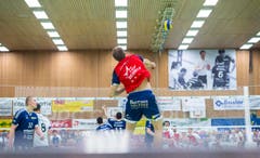 Volley Amriswil ist schweizer Meister (Bild: Andrea Stalder)