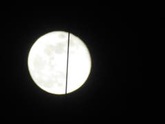 Geteilter Vollmond. (Bild: Josef Habermacher)