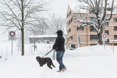 Wetterbilder, Schnee in Speicher AR. (Bild: Hanspeter Schiess)