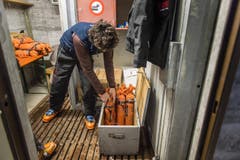 Lawinensprengung am Pizol (Bild: Michel Canonica)